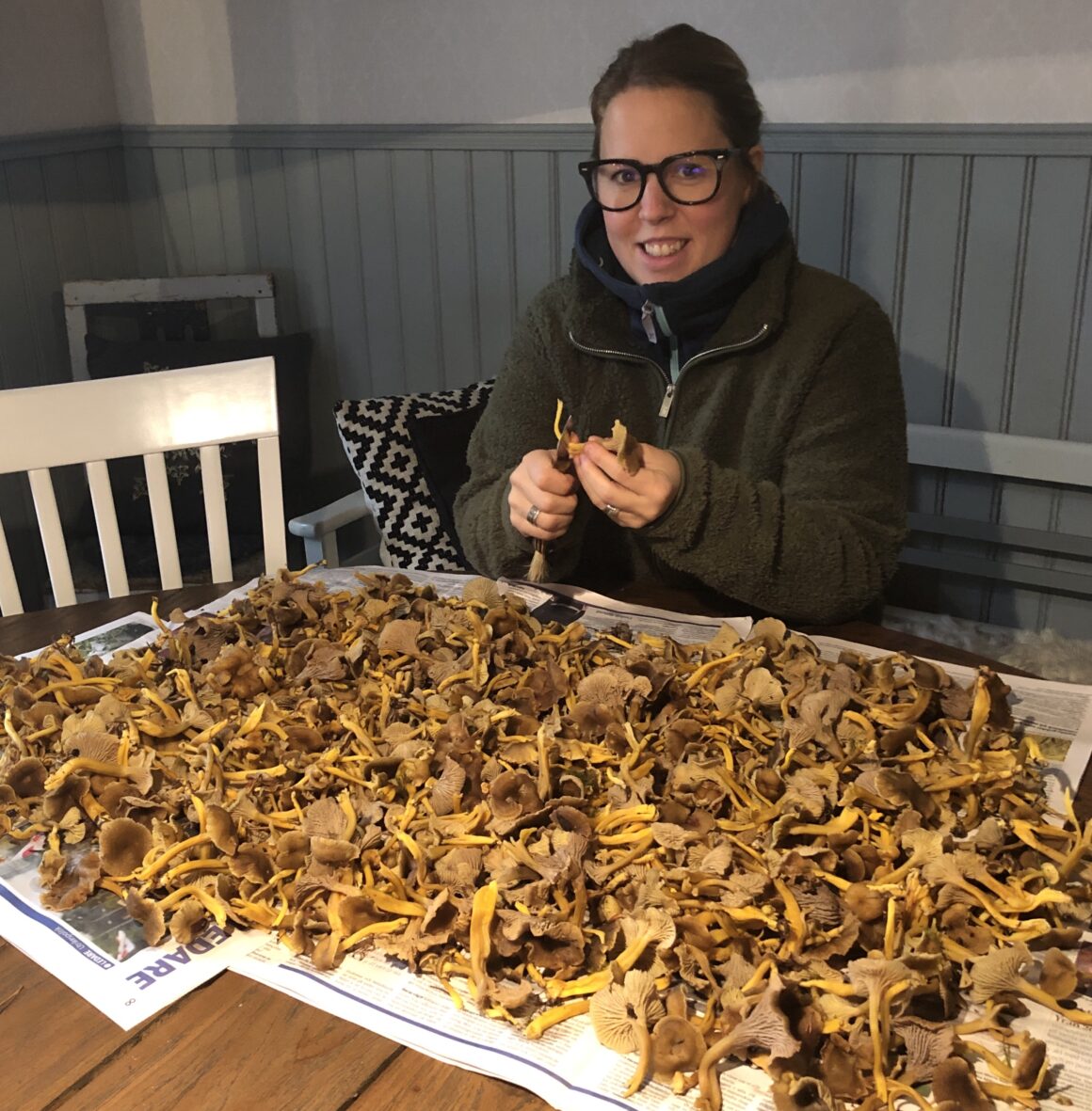 Caroline Fredin trattkantareller svamp