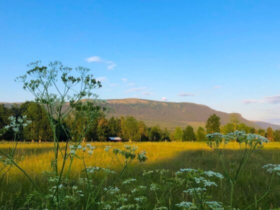 Vemdalen med Högfjället i bakgrunden en solig sommardag.