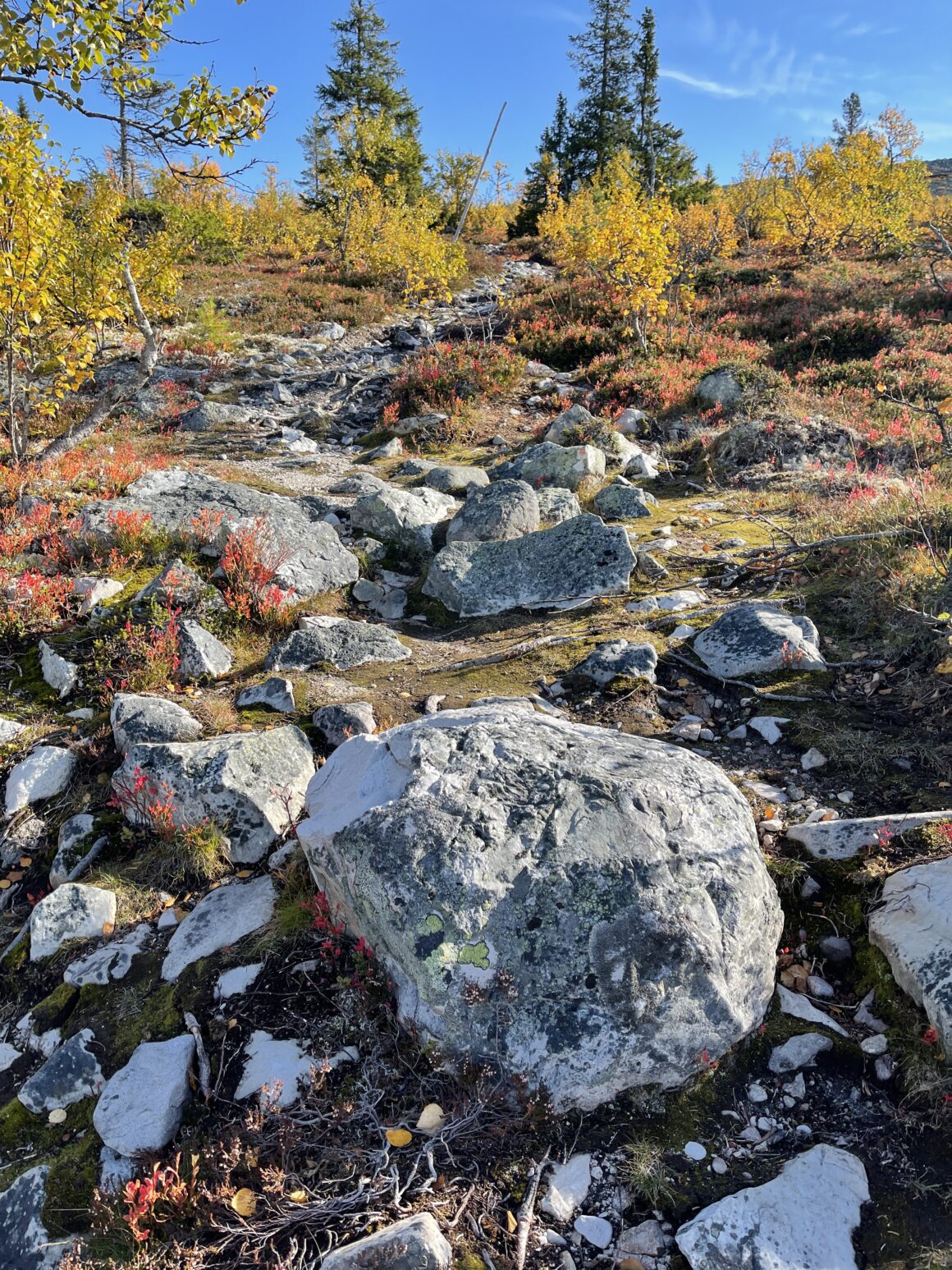 Stenig led på väg upp på fjället i Vemdalen