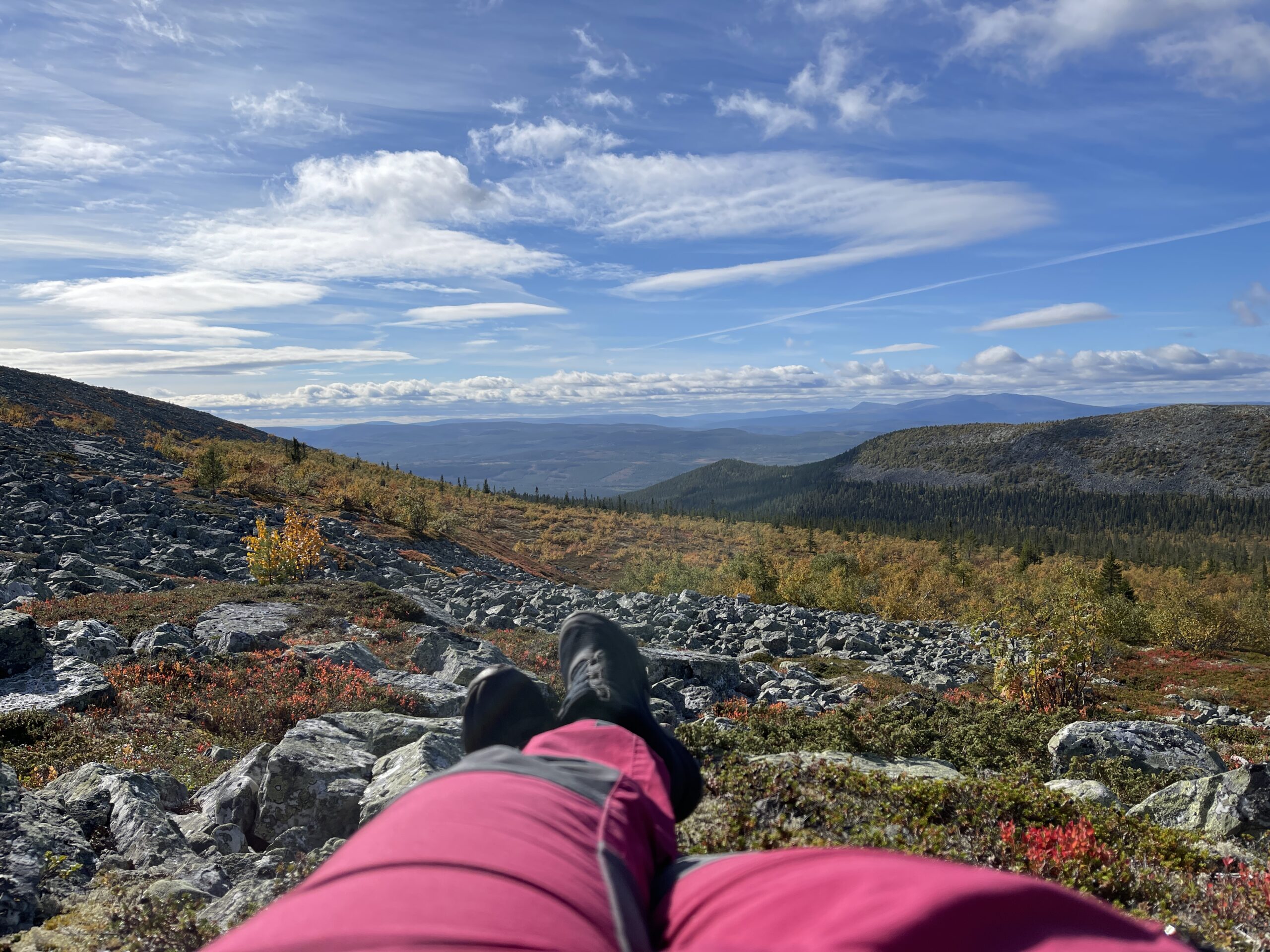 Icebug-skor till vandring med utsikt