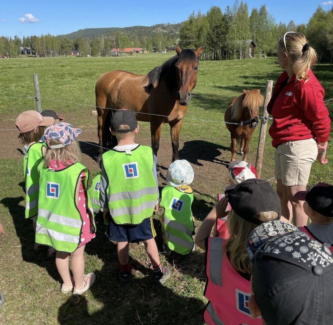 Vemdalens förskola hälsar på hästar i hästhagen.