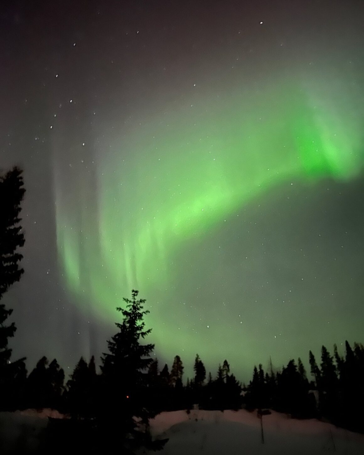 Norrsken i Vemdalen grönt på himlen