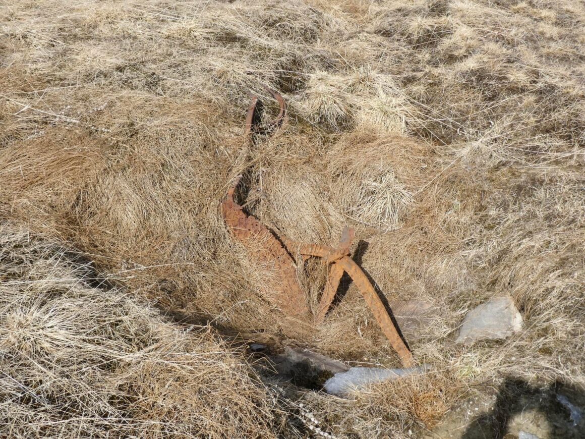 Gammal plog som rostat sönder av att ha legat på sjöbotten sedan 60-talet. Valmåsen, Härjedalen.