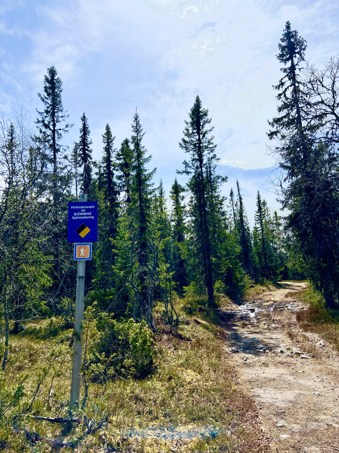 Förbindelsespåret från Vemdalsskalet till Björnrike