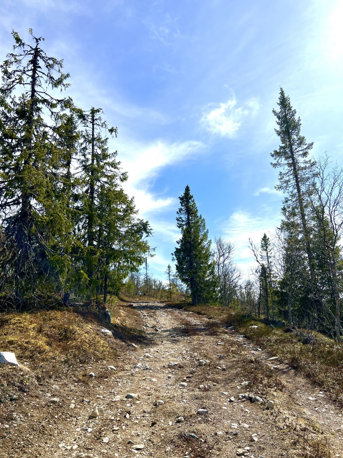 Vandringsled i Vemdalen