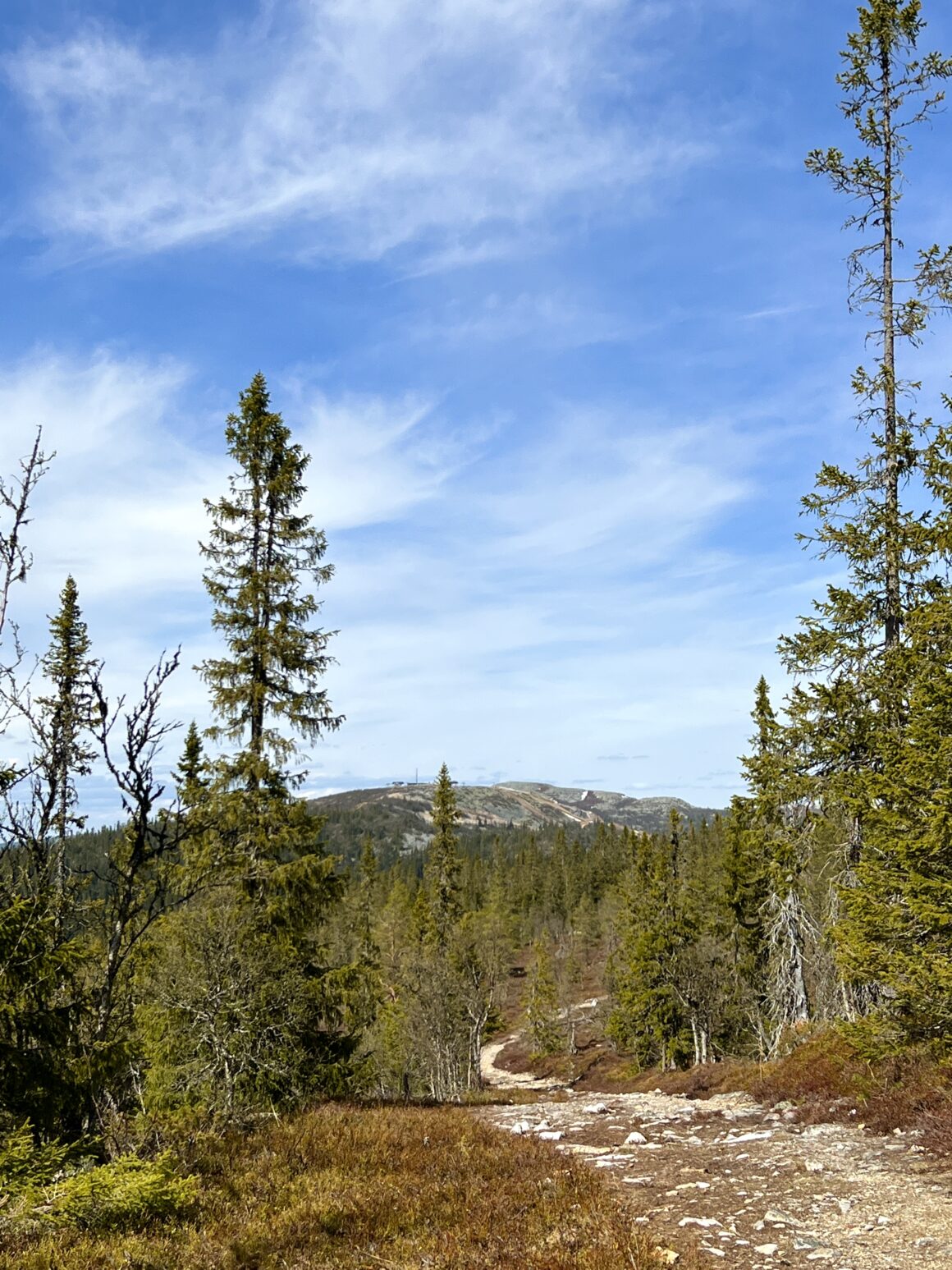 Utsikt mot Vemdalsskalet