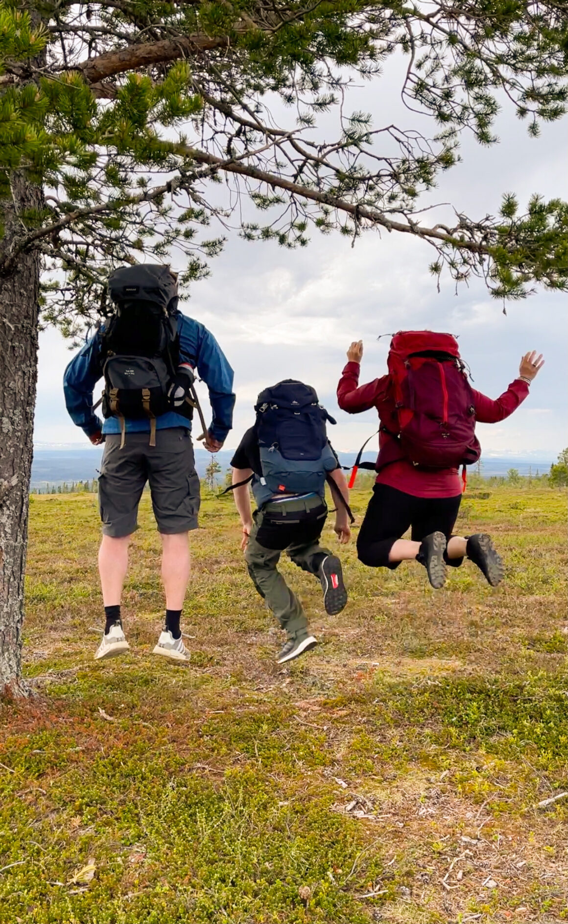 Fjällvandra med barn. Vemdalen