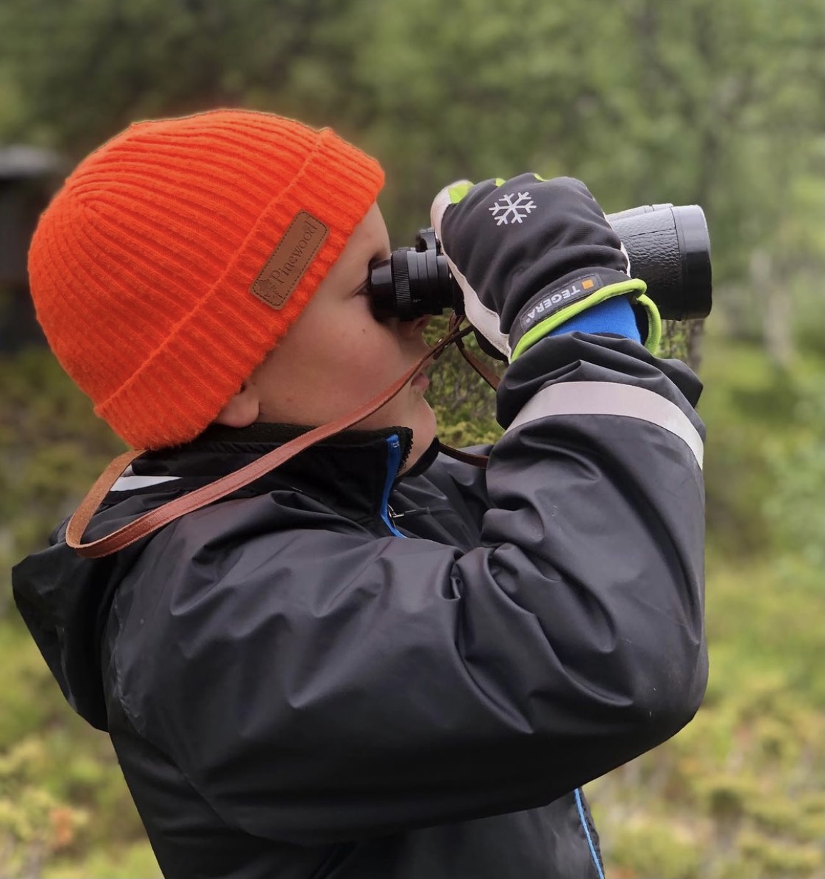 Spana på djur. Barnaktivitet i Vemdalen