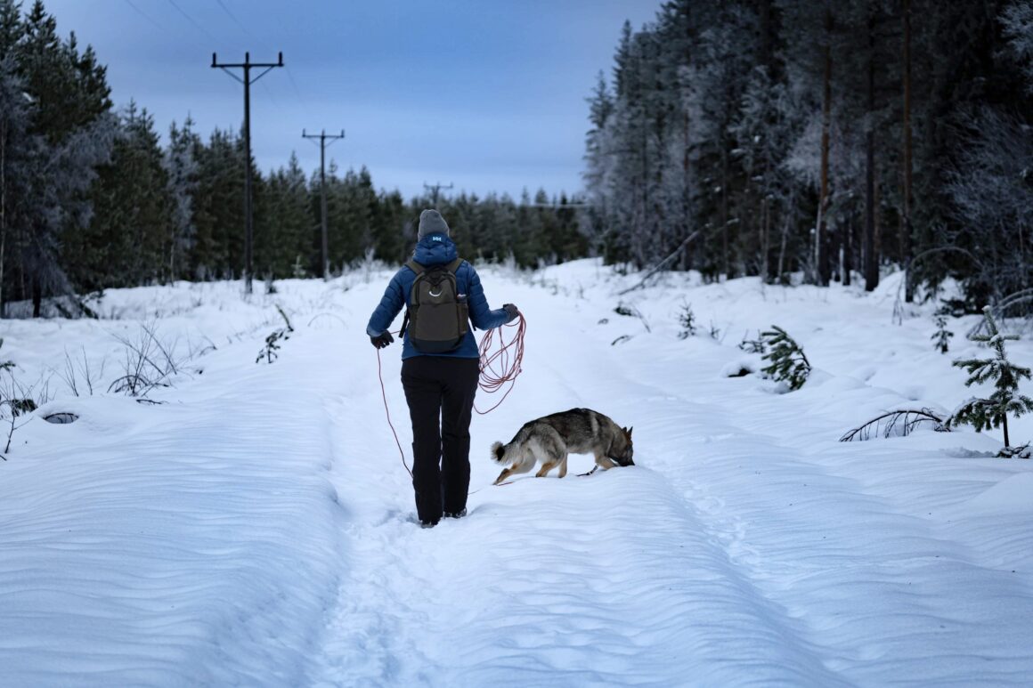 Lina Hallgren Vemdalen
