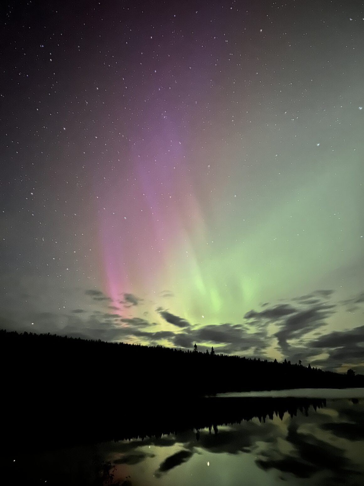 Norrsken i sprakande färger. Tittar man noga ser man miss Auroras ansikte i bilden.